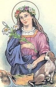 Blessed Agnes Of Bagno Di Romagna