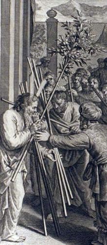 Detail of An Illustration of AaronS Rod Budding As Described In Numbers 17810 From The 1728 Figures De La Bible Illustrated By Gerard Hoet And Others Published By P De Hondt In The Hague In 1728 Image Courtesy Bizzell Bible Collection University of Oklahoma Libraries